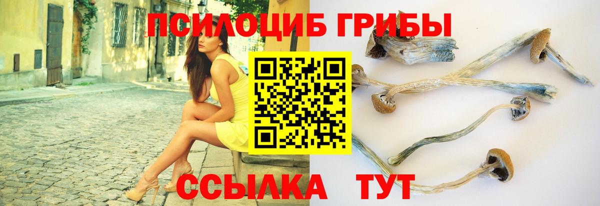 Галлюциногенные грибы GOLDEN TEACHER  Вход с VPN  Донской 