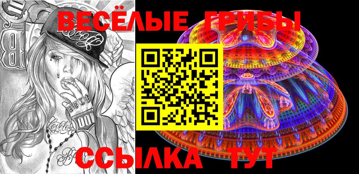 Псилоцибиновые грибы Psilocybine cubensis Донской